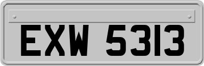 EXW5313
