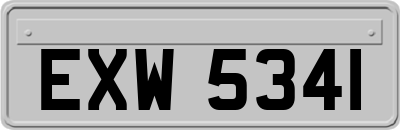 EXW5341