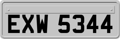 EXW5344