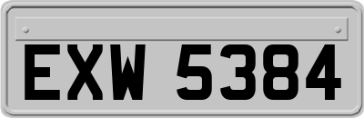 EXW5384