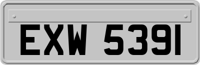 EXW5391
