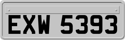 EXW5393