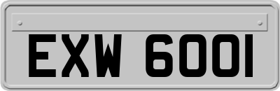 EXW6001