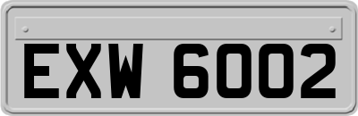 EXW6002