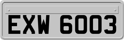 EXW6003