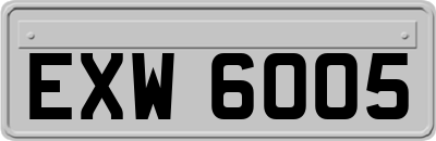 EXW6005