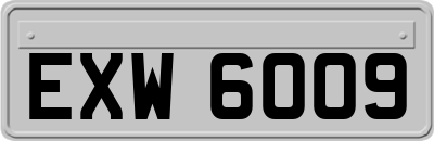 EXW6009