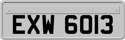 EXW6013