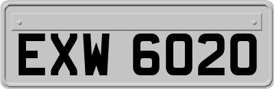 EXW6020