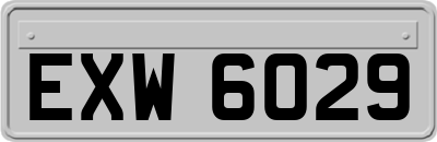 EXW6029