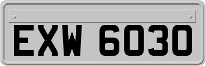 EXW6030