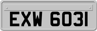 EXW6031