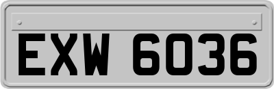 EXW6036