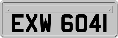 EXW6041