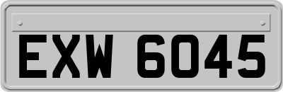 EXW6045