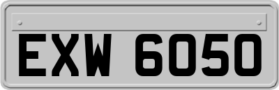 EXW6050