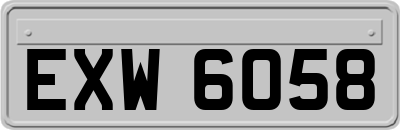 EXW6058