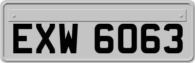 EXW6063