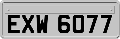 EXW6077