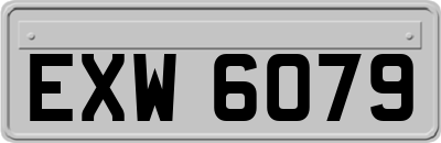 EXW6079
