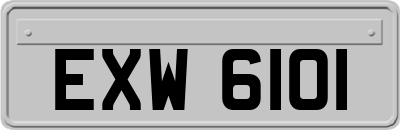 EXW6101