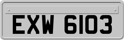 EXW6103