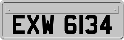 EXW6134