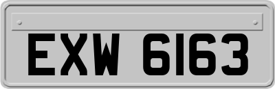 EXW6163
