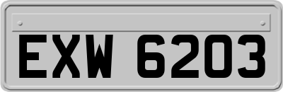 EXW6203