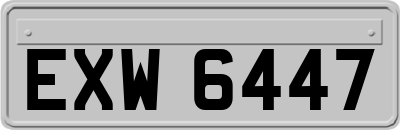 EXW6447