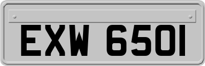 EXW6501