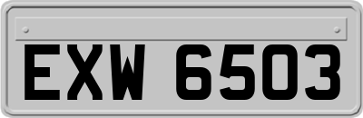 EXW6503