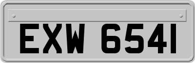 EXW6541