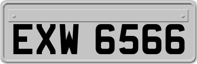 EXW6566