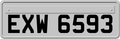 EXW6593