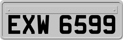 EXW6599