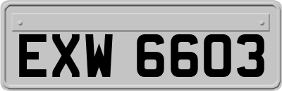 EXW6603