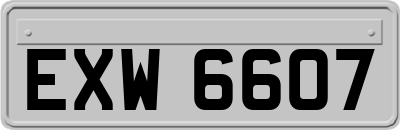 EXW6607