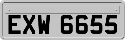 EXW6655