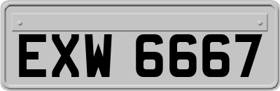 EXW6667