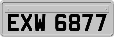 EXW6877