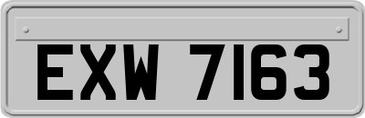 EXW7163