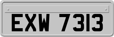 EXW7313