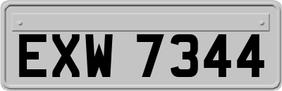 EXW7344