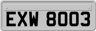 EXW8003