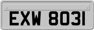EXW8031