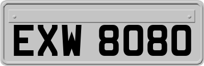EXW8080