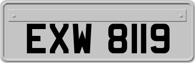 EXW8119