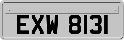 EXW8131
