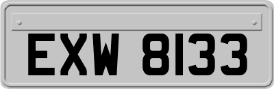 EXW8133